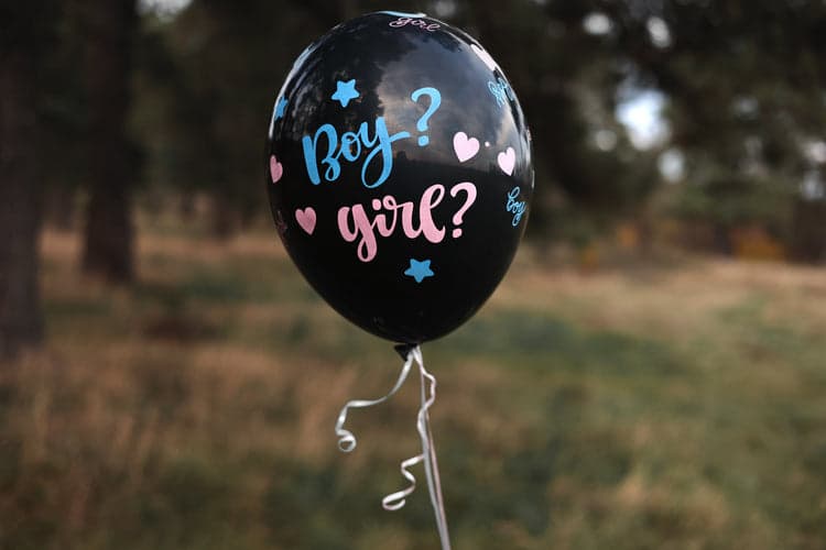 Uçan Balon Demetleri Cinsiyet Partisi Konsepti