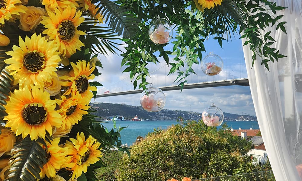 Zincir Balon Setleri Cinsiyet Partisi Konsepti